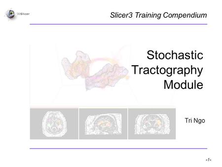 Pujol S, Gollub R -1- National Alliance for Medical Image Computing Stochastic Tractography Module Tri Ngo Slicer3 Training Compendium.
