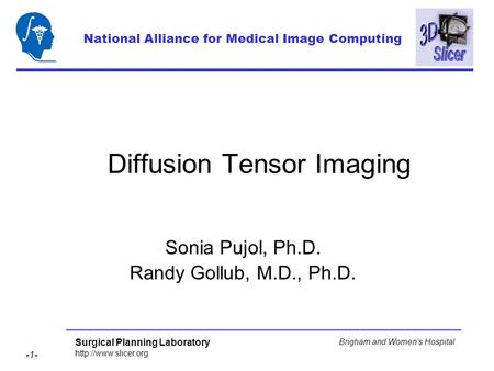 Surgical Planning Laboratory  -1- Brigham and Womens Hospital Diffusion Tensor Imaging Sonia Pujol, Ph.D. Randy Gollub, M.D., Ph.D.