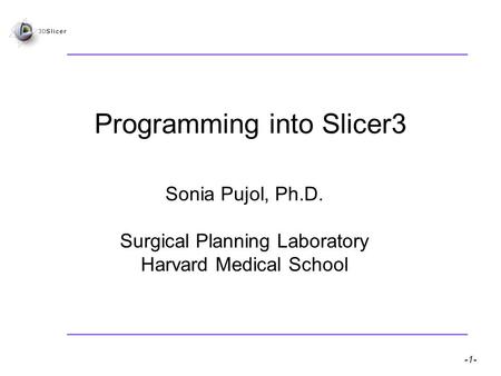 Slicer3 for developers – Sonia Pujol, Ph.D. -1- National Alliance for Medical Image Computing Programming into Slicer3 Sonia Pujol, Ph.D. Surgical Planning.