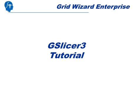 Grid Wizard Enterprise GSlicer3 Tutorial. Introduction This tutorial assumes you already completed the basic and advanced tutorial. GSlicer3 is a Slicer3.
