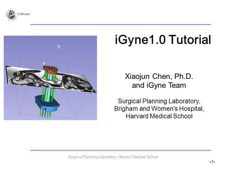 -1- iGyne1.0 Tutorial Xiaojun Chen, Ph.D. and iGyne Team Surgical Planning Laboratory, Brigham and Women's Hospital, Harvard Medical School Surgical Planning.