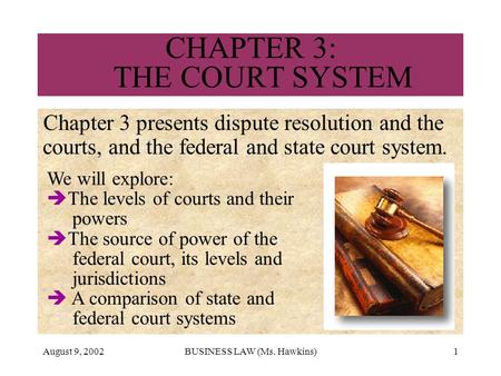 CHAPTER 3: THE COURT SYSTEM