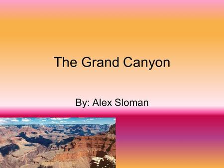 The Grand Canyon By: Alex Sloman Where is it located?. The Grand canyon is located in northern Arizona U.S.A.