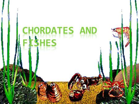 Chordates and Fishes.