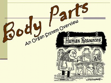 Body Parts An Organ System Overview.