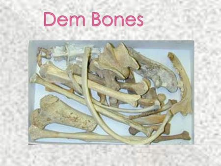 Dem Bones.