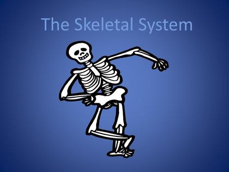 The Skeletal System. Your BONES Produce blood Protection Give shape. Help move Provide chemical storage.