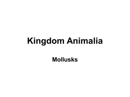 Kingdom Animalia Mollusks.