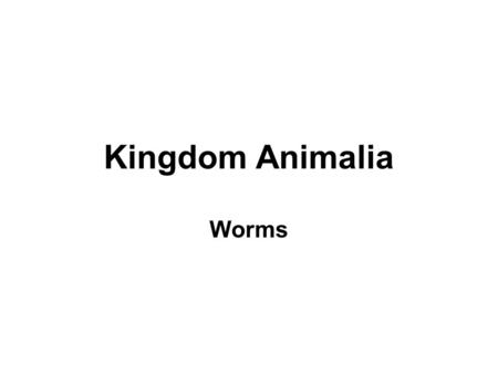 Kingdom Animalia Worms.