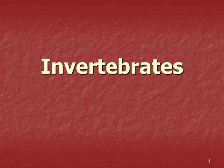 Invertebrates.