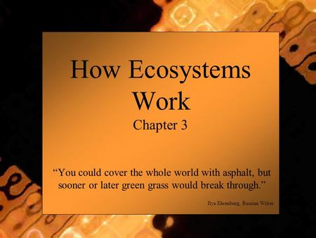 How Ecosystems Work Chapter 3