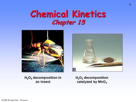 1 © 2006 Brooks/Cole - Thomson Chemical Kinetics Chapter 15 H 2 O 2 decomposition in an insect H 2 O 2 decomposition catalyzed by MnO 2.