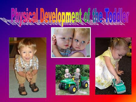 Physical Development of the Toddler