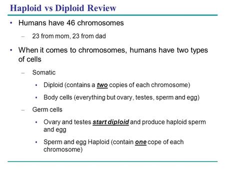 Haploid vs Diploid Review