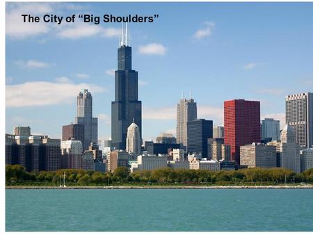 The City of Big Shoulders. Ludwig Mies van der Rohe.