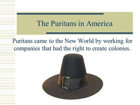 The Puritans in America Puritans came to the New World by working for companies that had the right to create colonies.