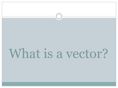 What is a vector?. 1. What is the direction of this vector? 30 Degrees.
