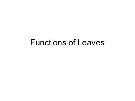 Functions of Leaves.