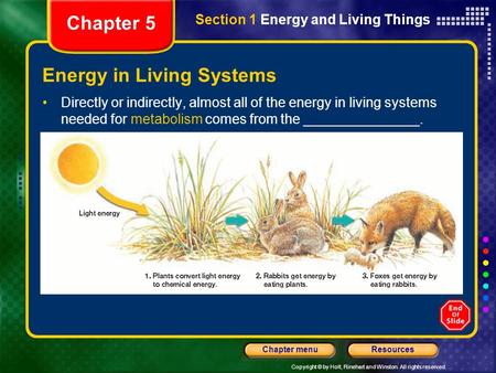 Energy in Living Systems