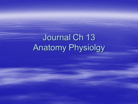 Journal Ch 13 Anatomy Physiolgy