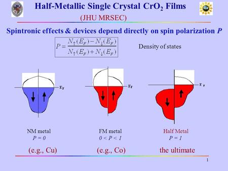 Half-Metallic Single Crystal CrO2 Films
