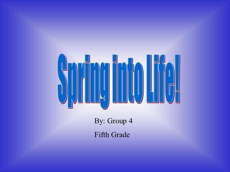 Spring into Life! By: Group 4 Fifth Grade.