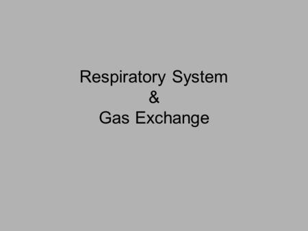 Respiratory System & Gas Exchange