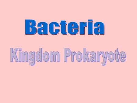 What are Bacteria? Bacteria are PROKARYOTES (what does that mean?) –The smallest known living cells They are found everywhere!! Bacteria on head of a.
