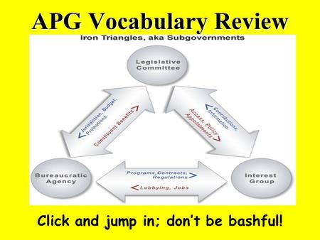 APG Vocabulary Review Click and jump in; dont be bashful!
