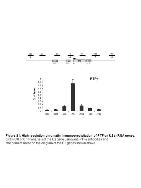 3box PSE -55 DSE -220+1 +350 U2 -800-500 +700 +150 -15-200 +215 % of input PTF 4563 Figure S1. High resolution chromatin immunoprecipitation of PTF on.