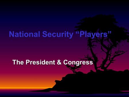 National Security Players The President & Congress.