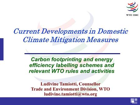 Current Developments in Domestic Climate Mitigation Measures Carbon footprinting and energy efficiency labelling schemes and relevant WTO rules and activities.