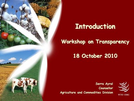 Introduction Workshop on Transparency 18 October 2010 Serra Ayral Counsellor Agriculture and Commodities Division.