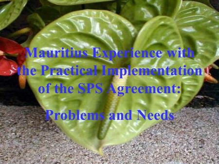 Mauritius Experience with the Practical Implementation of the SPS Agreement: Problems and Needs.