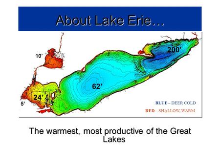 About Lake Erie… The warmest, most productive of the Great Lakes RED – SHALLOW, WARM BLUE – DEEP, COLD 24 62 200 5 10.