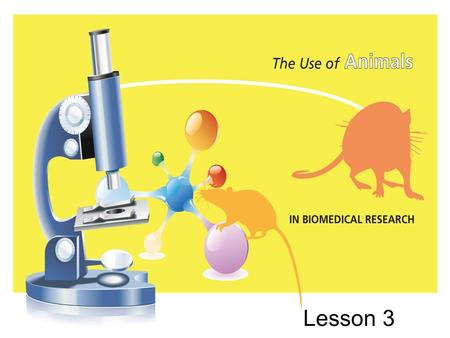 Lesson 3. Learning Topic: Specific facts about the use of animals in biomedical research. Focus Question: When looking for information on a website, what.