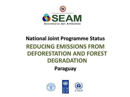 National Joint Programme Status REDUCING EMISSIONS FROM DEFORESTATION AND FOREST DEGRADATIONParaguay.