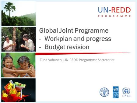 Global Joint Programme - Workplan and progress - Budget revision Tiina Vahanen, UN-REDD Programme Secretariat.