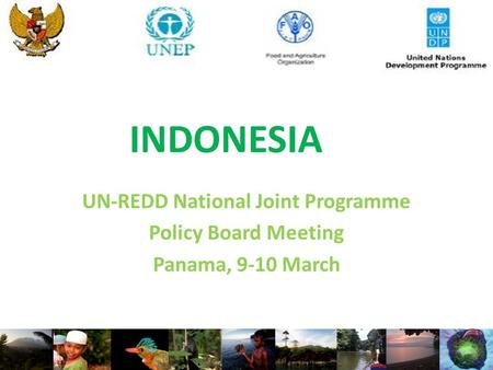 INDONESIA UN-REDD National Joint Programme Policy Board Meeting Panama, 9-10 March.