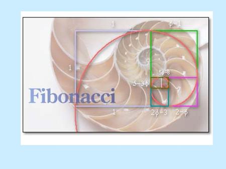 Biography ( ) Fibonacci is a short for the Latin filius Bonacci which means the son of Bonacci but his full name was Leonardo of Pisa, or Leonardo.