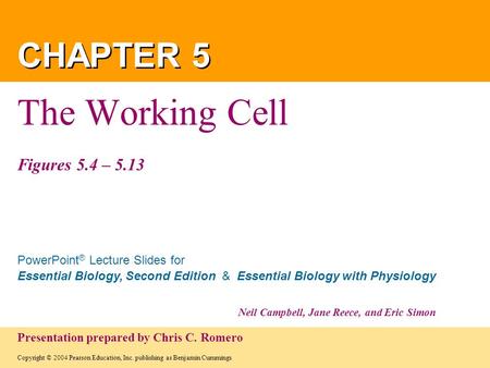 The Working Cell Figures 5.4 – 5.13