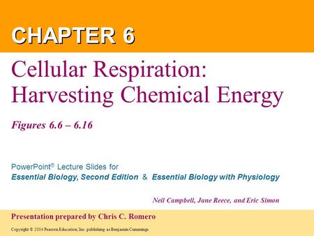 Cellular Respiration: Harvesting Chemical Energy Figures 6.6 – 6.16