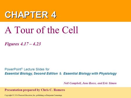 A Tour of the Cell Figures 4.17 – 4.23