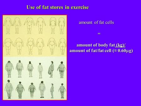 Use of fat stores in exercise amount of fat cells amount of fat cells= amount of body fat (kg)/ amount of body fat (kg)/ amount of fat/fat cell ( 0.60.