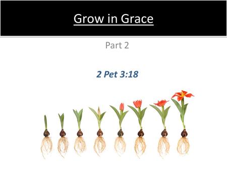 Grow in Grace Part 2 2 Pet 3:18. Doing things less because we feel like it, but more because it is right –2–2Cor 5:15 A greater desire to do His will.