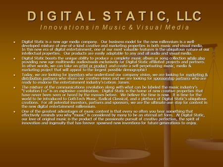 Digital Static is a new age media company. Our business model for the new millennium is a well- developed mixture of one-of-a-kind creative and marketing.