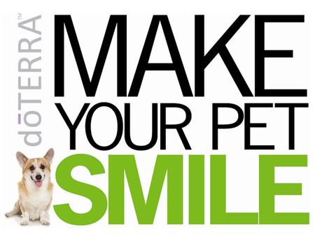 Your pet puts a smile on your face everyday, return the favor. Experience how dōTERRAs CPTG. Certified Pure Therapeutic Grade Essential Oils can calm,