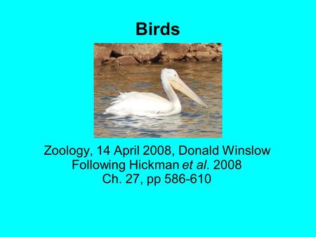 Birds Zoology, 14 April 2008, Donald Winslow Following Hickman et al. 2008 Ch. 27, pp 586-610.