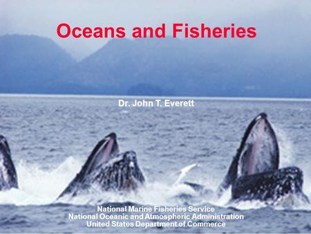 Oceans and Fisheries Dr. John T. Everett National Marine Fisheries Service National Oceanic and Atmospheric Administration United States Department of.
