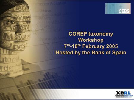COREP taxonomy Workshop 7 th -18 th February 2005 Hosted by the Bank of Spain.